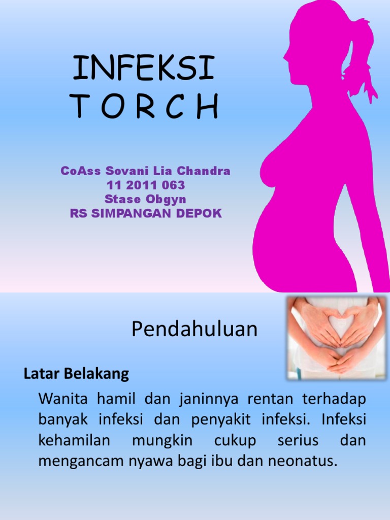 infeksi torch pada bayi